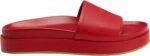 71AnKSPCLiL._AC_SL1500_
